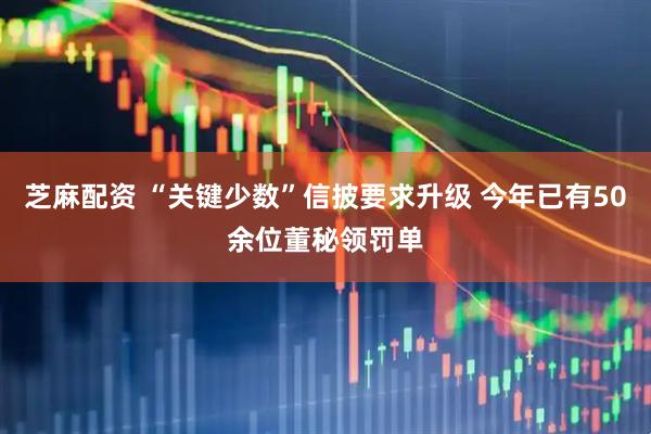 芝麻配资 “关键少数”信披要求升级 今年已有50余位董秘领罚单