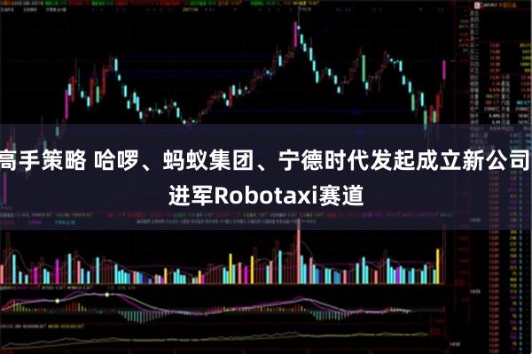 高手策略 哈啰、蚂蚁集团、宁德时代发起成立新公司 进军Robotaxi赛道