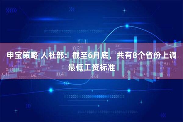 申宝策略 人社部：截至6月底，共有8个省份上调最低工资标准