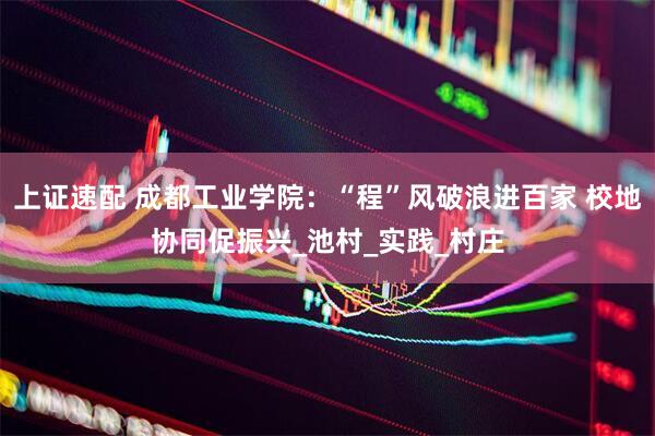 上证速配 成都工业学院：“程”风破浪进百家 校地协同促振兴_池村_实践_村庄