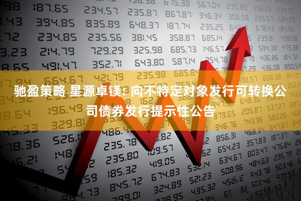 驰盈策略 星源卓镁: 向不特定对象发行可转换公司债券发行提示性公告